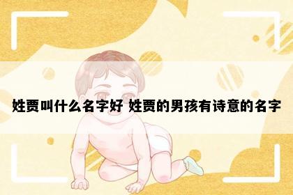 姓贾叫什么名字好 姓贾的男孩有诗意的名字