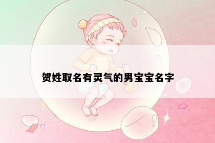 贺姓取名有灵气的男宝宝名字