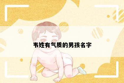 韦姓有气质的男孩名字
