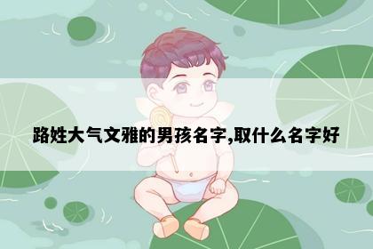 路姓大气文雅的男孩名字,取什么名字好