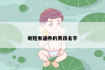 谢姓有涵养的男孩名字