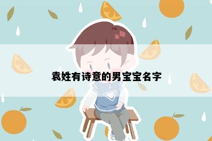 袁姓有诗意的男宝宝名字