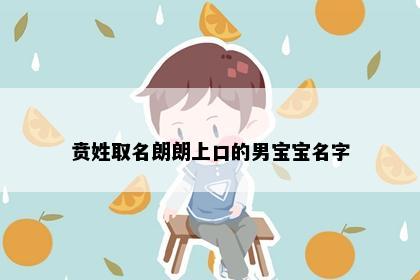 贲姓取名朗朗上口的男宝宝名字
