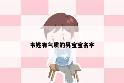韦姓有气质的男宝宝名字