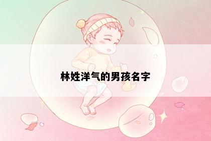 林姓洋气的男孩名字