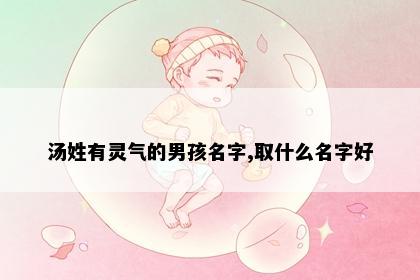 汤姓有灵气的男孩名字,取什么名字好