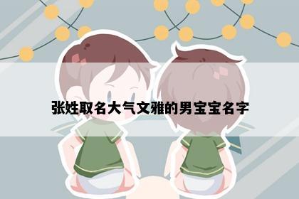 张姓取名大气文雅的男宝宝名字