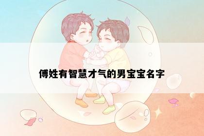 傅姓有智慧才气的男宝宝名字