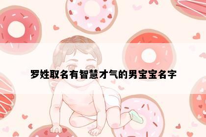 罗姓取名有智慧才气的男宝宝名字