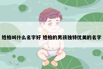 姓柏叫什么名字好 姓柏的男孩独特优美的名字