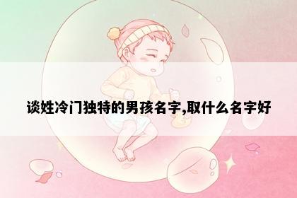 谈姓冷门独特的男孩名字,取什么名字好