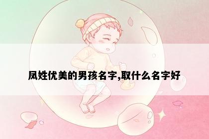 凤姓优美的男孩名字,取什么名字好