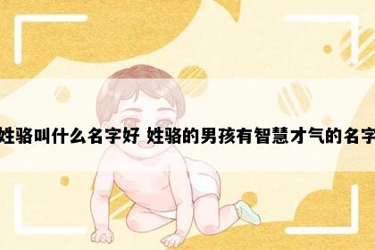 姓骆叫什么名字好 姓骆的男孩有智慧才气的名字