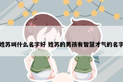 姓苏叫什么名字好 姓苏的男孩有智慧才气的名字