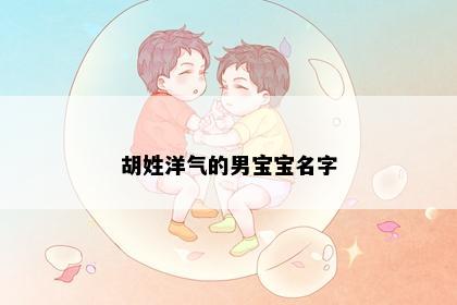 胡姓洋气的男宝宝名字