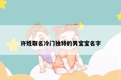 许姓取名冷门独特的男宝宝名字