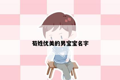 荀姓优美的男宝宝名字