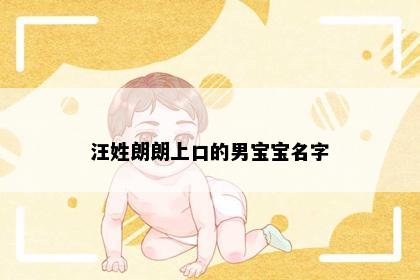汪姓朗朗上口的男宝宝名字