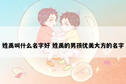 姓禹叫什么名字好 姓禹的男孩优美大方的名字