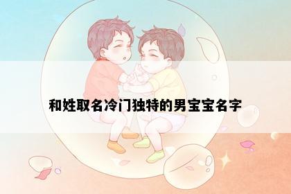 和姓取名冷门独特的男宝宝名字
