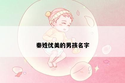 秦姓优美的男孩名字