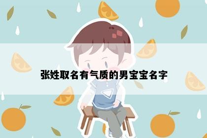 张姓取名有气质的男宝宝名字