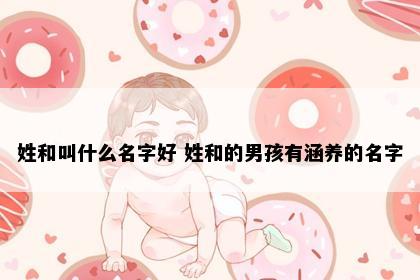 姓和叫什么名字好 姓和的男孩有涵养的名字