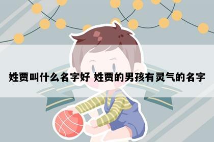 姓贾叫什么名字好 姓贾的男孩有灵气的名字