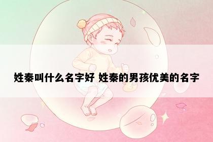 姓秦叫什么名字好 姓秦的男孩优美的名字