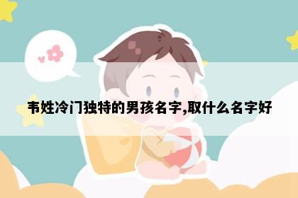 韦姓冷门独特的男孩名字,取什么名字好