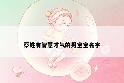 蔡姓有智慧才气的男宝宝名字